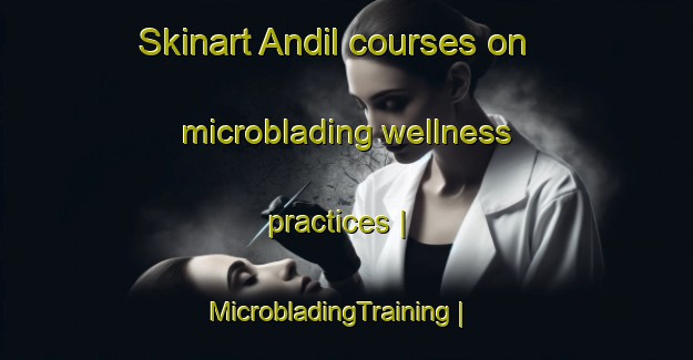 Skinart Andil courses on microblading wellness practices | MicrobladingTraining | MicrobladingClasses | SkinartTraining-Turkey
